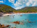 Corsica on Random Best Destinations for a Beach Wedding
