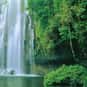 Costa Rica is listed (or ranked) 11 on the list 36 Countries with Universal Healthcare