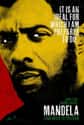 Mandela: Long Walk to Freedom on Random Great Historical Black Movies Based On True Stories