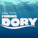 2016   Finding Dory is a 2016 American 3D computer-animated comedy adventure film directed by Andrew Stanton, and a sequel to Finding Nemo.