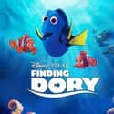 Finding Dory on Random Best Disney Movies About Friendship