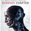 The Banshee Chapter on Random Most Horrifying Found-Footage Movies