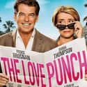 The Love Punch on Random Best Movies About Dating In Your 50s