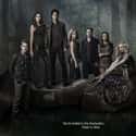 The Vampire Diaries - Season 5 on Random Best Seasons of 'The Vampire Diaries'