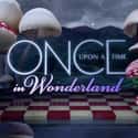 Once Upon a Time in Wonderland on Random Movies To Watch If You Love 'Once Upon A Time'