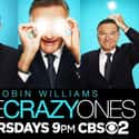 The Crazy Ones on Random Best Shows Canceled After a Single Season