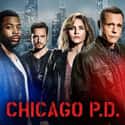 Jason Beghe, Jon Seda, Sophia Bush   Chicago P.D. (NBC, 2014) is an American police procedural drama television series created by Dick Wolf and Matt Olmstead.