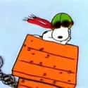Snoopy vs. The Red Baron on Random Greatest Songs by '60s One-Hit Wonders