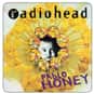 Anyone Can Play Guitar is listed (or ranked) 25 on the list The Best Songs with Play in the Title
