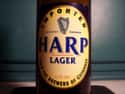 Harp Lager on Random Best Beer Brands