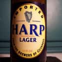 Harp Lager on Random Best Beer Brands