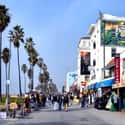 Venice Beach on Random Top Must-See Attractions in Los Angeles