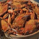 Crab is listed (or ranked) 5 on the list The Most Popular Food In Each State, According To People Who Actually Live There