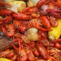 Crayfish on Random Best (Non-Fish) Seafood