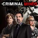 Criminal Minds on Random Best Conspiracy Shows on TV Right Now