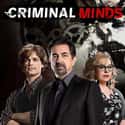 Criminal Minds on Random Best TV Crime Dramas