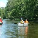 Crow Wing River on Random Best American Rivers for Canoeing