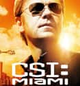 CSI: Miami on Random Best Legal TV Shows