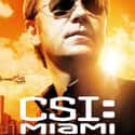 CSI: Miami on Random Best TV Crime Dramas