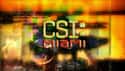 CSI: Miami on Random Best Serial Cop Dramas
