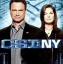 CSI: NY on Random Best TV Crime Dramas