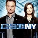 CSI: NY on Random Best TV Crime Dramas