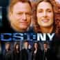 Gary Sinise, Carmine Giovinazzo, Hill Harper   CSI: NY is an American police procedural television series that ran on CBS from September 22, 2004 to February 22, 2013 for a total of nine seasons and 197 original episodes.
