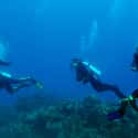 Cuba on Random Best Countries for Scuba Diving