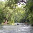 Current River on Random Best American Rivers for Canoeing