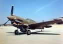 Curtiss P-40 Warhawk on Random Most Iconic World War II Planes