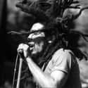 Bob Marley & The Wailers, Bob Marley