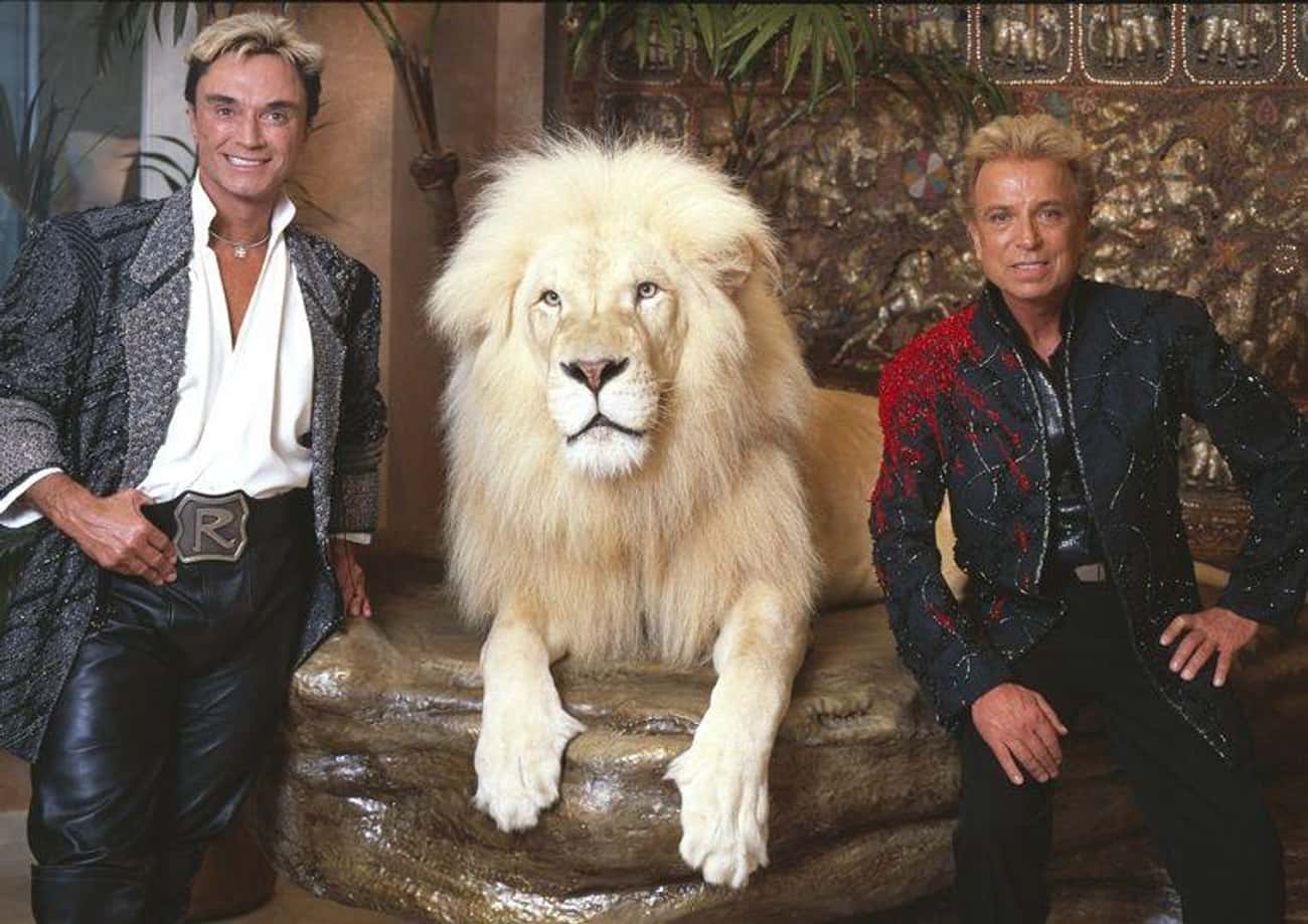 A Las Vegas Siegfried & Roy Show Went Terribly Awry When A Tiger Attacked Roy