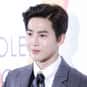 SuHo is listed (or ranked) 20 on the list The Hottest Guys in K-pop