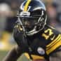 Eli Rogers is listed (or ranked) 15 on the list The Best Pittsburgh Steelers Wide Receivers of All Time