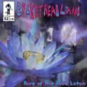 Rise of the Blue Lotus on Random Best Buckethead Albums