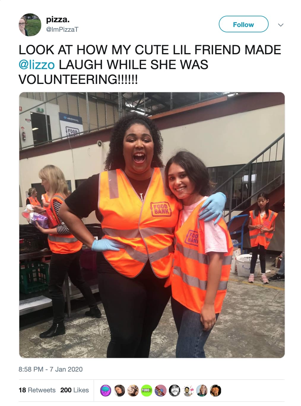 Lizzo Volunteers To Help Australians During Wildfire Crisis