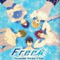 Free! on Random Best Fan Service Anime