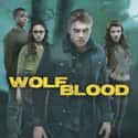 Wolfblood on Random Best Supernatural Teen Series