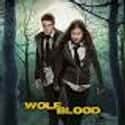 Wolfblood is a British fantasy/supernatural drama television series aimed at teens. It is a co-production between CBBC and ZDF/ZDFE.