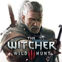 The Witcher 3: Wild Hunt on Random Most Popular Open World Video Games Right Now