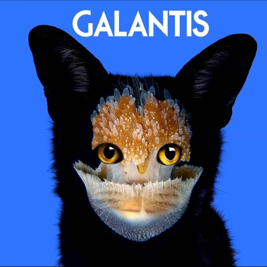 EDM Artists | List of Best Electronic Dance Music Artists