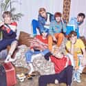 BTS on Random Best K-pop Boy Groups