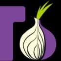Tor on Random Best Internet Browsers