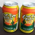 Cactus Cooler on Random Best Discontinued Soda