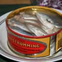 Surströmming on Random Grossest Foods In World