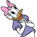 Daisy Duck on Random Cutest Cartoon Ducks