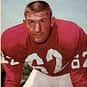 Dale Meinert is listed (or ranked) 5 on the list The Best Arizona Cardinals Linebackers of All Time