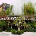 Dallas World Aquarium on Random Best Aquariums in the US
