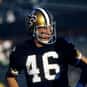 Danny Abramowicz is listed (or ranked) 24 on the list The Best San Francisco 49ers Wide Receivers of All Time