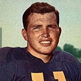 The Best Nfl Players From New Mexico